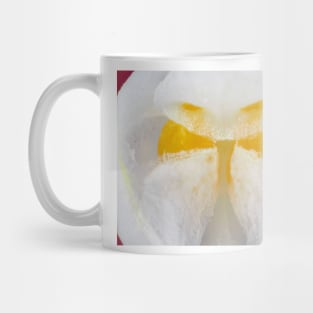 Orchid flower with pollen (pollinia) visible under the microscope Mug